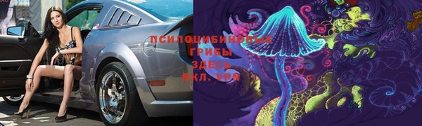 МДПВ Абинск