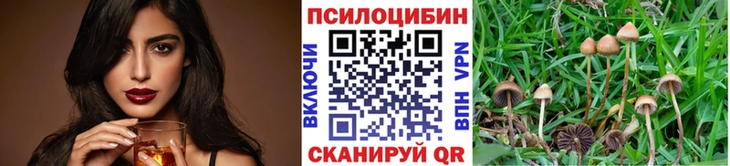 купить наркоту  Правдинск  Псилоцибиновые грибы GOLDEN TEACHER 